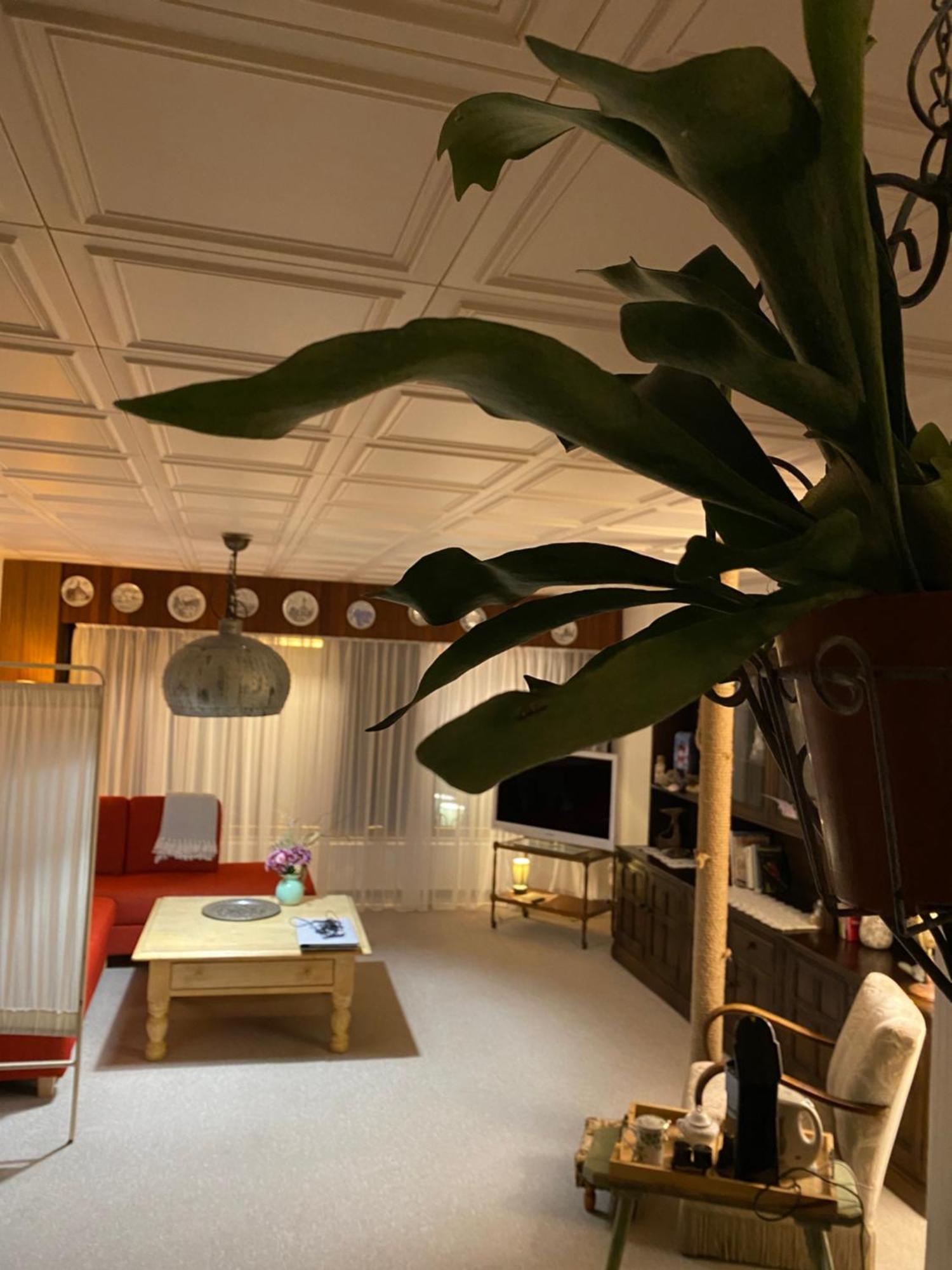 Privartzimmer 'Ausfahrt Freihalten' Χούζουμ Εξωτερικό φωτογραφία